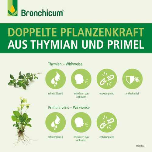 BRONCHICUM Tropfen