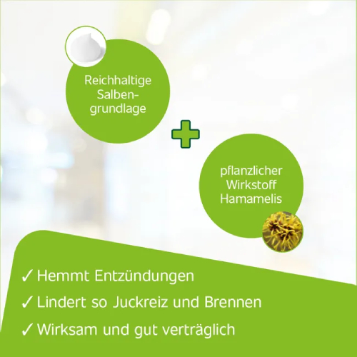 HAMETUM Hämorrhoiden Salbe