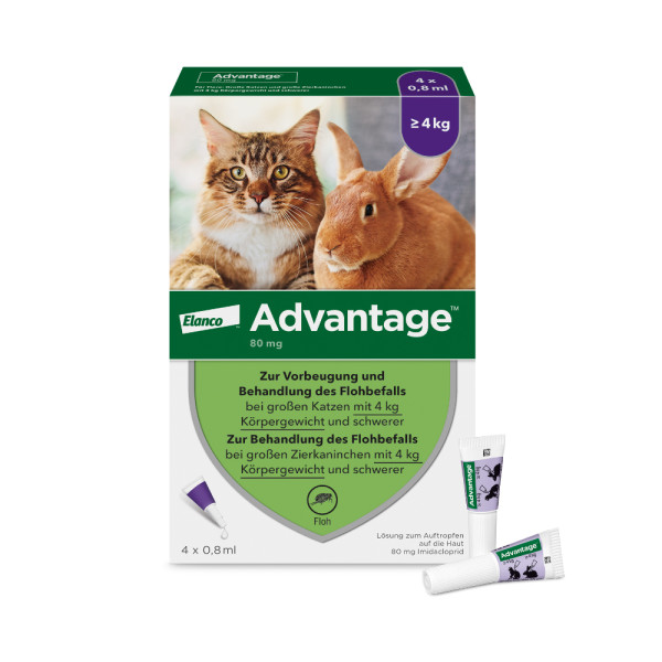 Advantage Spot-On für Katzen und Zierkaninchen von 4 bis 8 kg Körpergewicht, schneller und effektiver Flohschutz