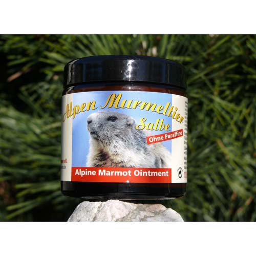 ALPEN MURMELTIER Salbe